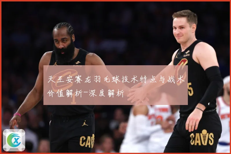 天王安赛龙羽毛球技术特点与战术价值解析-深度解析