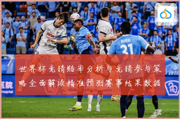 世界杯竞猜赔率分析与竞猜参与策略全面解读精准预测赛事结果数据研判-深度解析