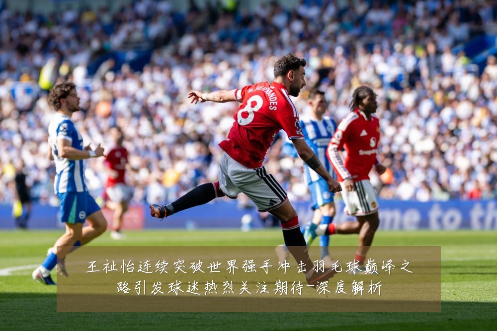 王祉怡连续突破世界强手冲击羽毛球巅峰之路引发球迷热烈关注期待-深度解析